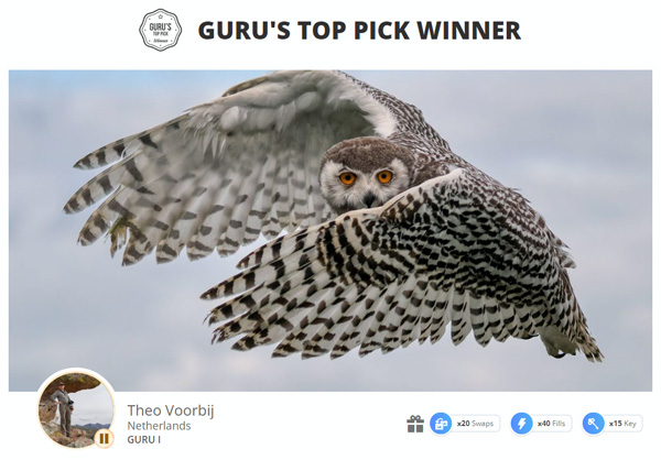 Guru's Top Pick Winner
