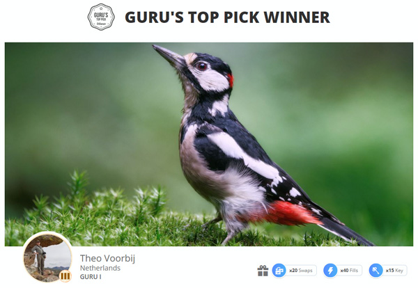 Guru's Top Pick Winner